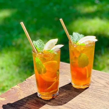 Hotel Zaczek Studenckie 2*