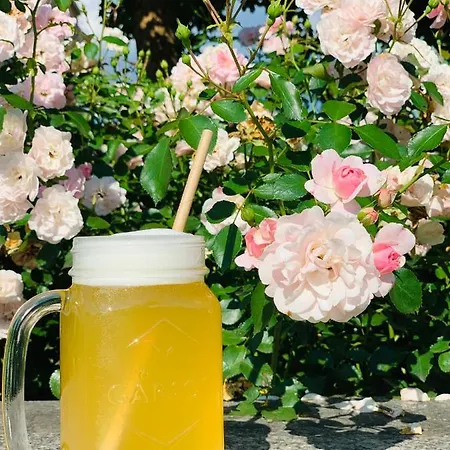 Zaczek Studenckie Hotel