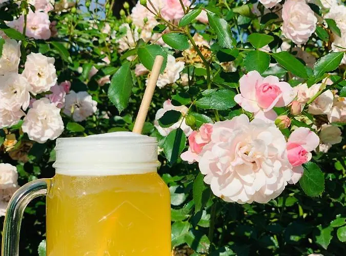 Zaczek Studenckie ホテル